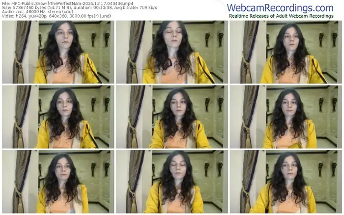 2025/12/17/mfc-theperfectnam-04-34-36