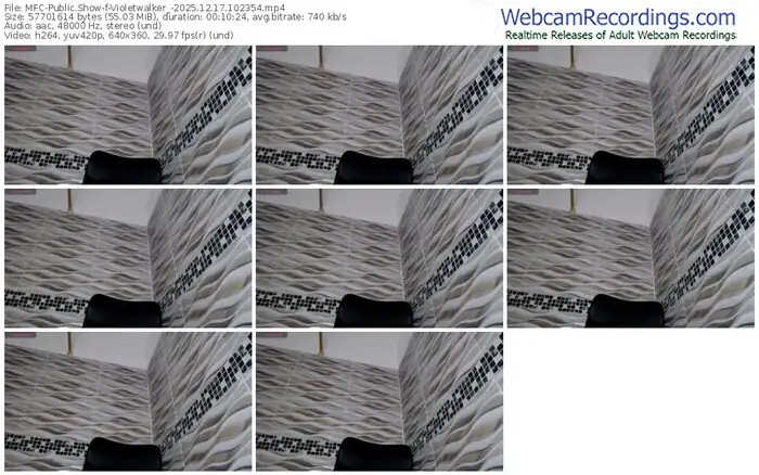 2025/12/17/mfc-violetwalker_-10-23-54