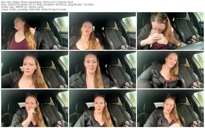 2025/12/17/mfc-plushpie1-10-21-01