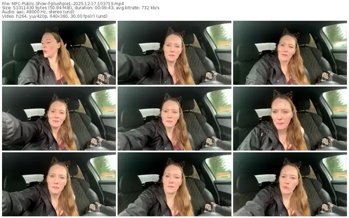 2025/12/17/mfc-plushpie1-10-37-19