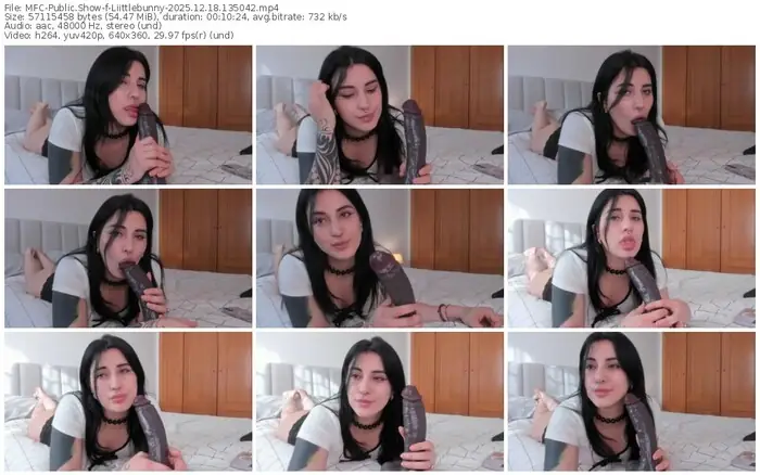 2025/12/18/mfc-liittlebunny-13-50-42