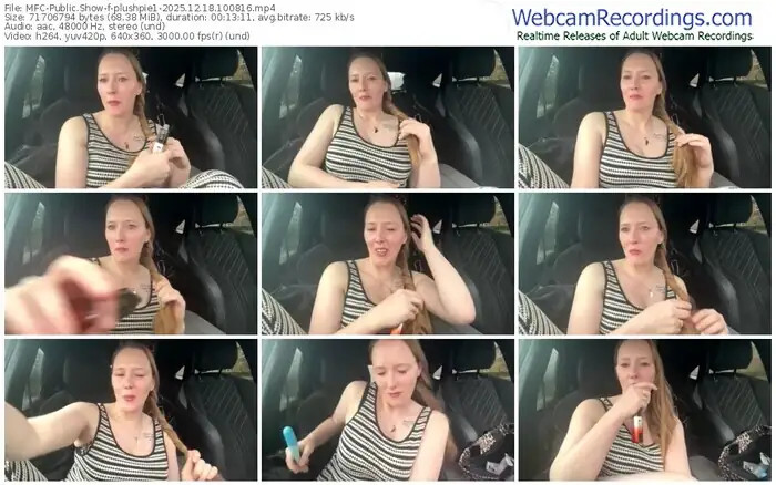 2025/12/18/mfc-plushpie1-10-08-16