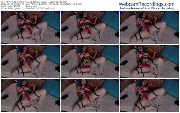 2025/12/19/mfc-cumpotikeve-03-17-42