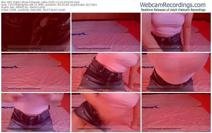 2025/12/19/mfc-maneki_neko-05-32-36