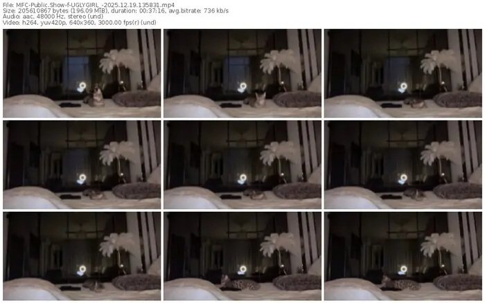 2025/12/19/mfc-uglygirl_-13-58-31