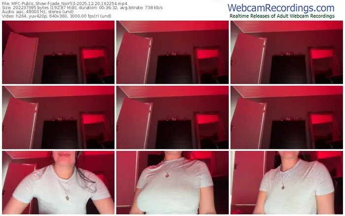 2025/12/20/mfc-jade_noir53-16-22-54