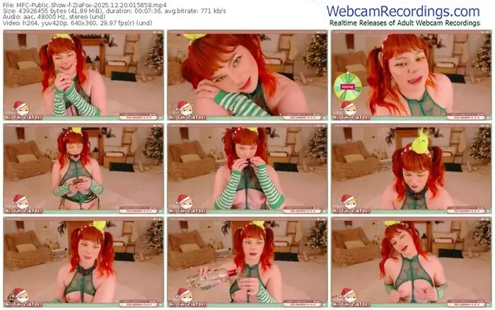 2025/12/20/mfc-ziafox-01-58-58