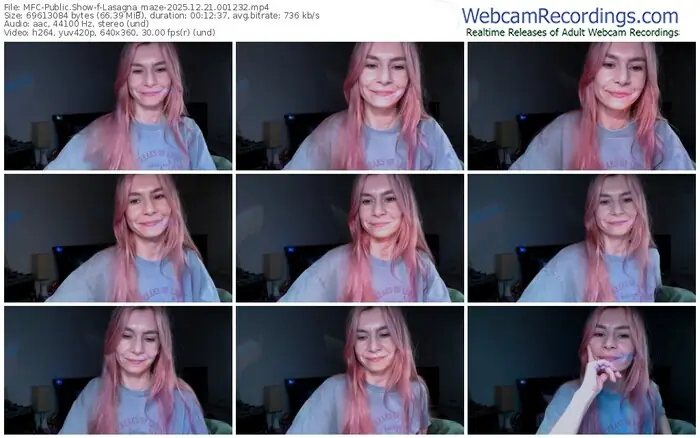 2025/12/21/mfc-lasagna_maze-00-12-32