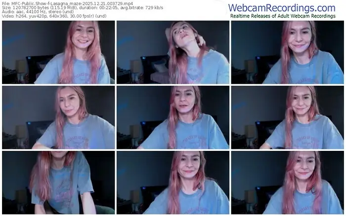 2025/12/21/mfc-lasagna_maze-00-37-29