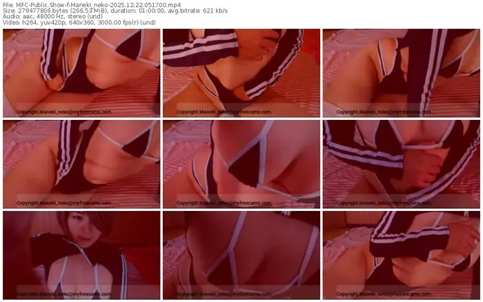 2025/12/22/mfc-maneki_neko-05-17-00
