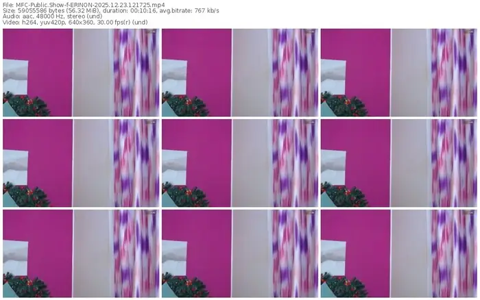 2025/12/23/mfc-erinon-12-17-25