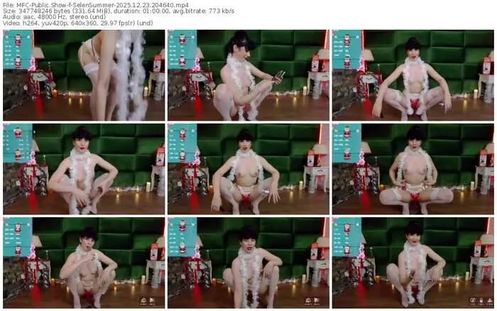 2025/12/23/mfc-selensummer-20-46-40