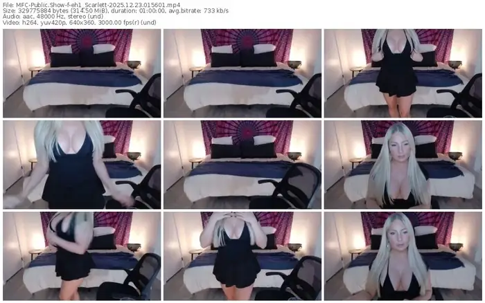 2025/12/23/mfc-eh1_scarlett-01-56-01