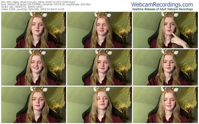 2025/12/25/mfc-lovely_kitten-17-23-06