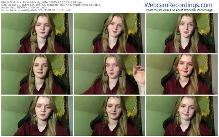 2025/12/25/mfc-lovely_kitten-22-13-26