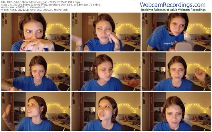 2025/12/25/mfc-princess_garu-01-49-19