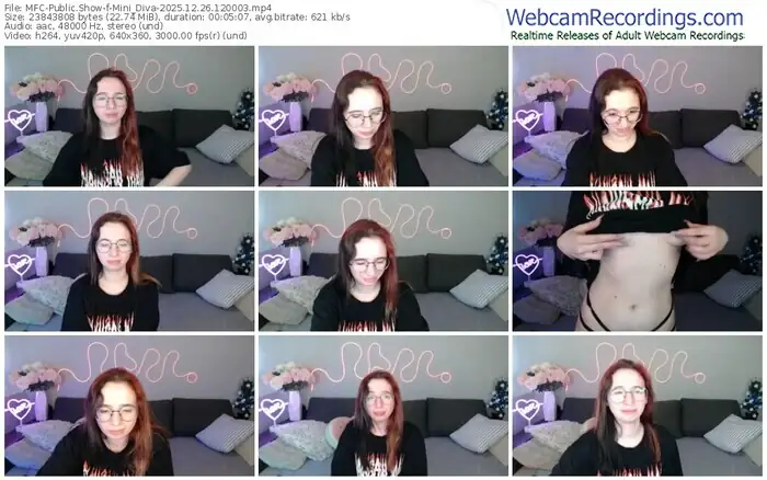 2025/12/26/mfc-mini_diva-12-00-03