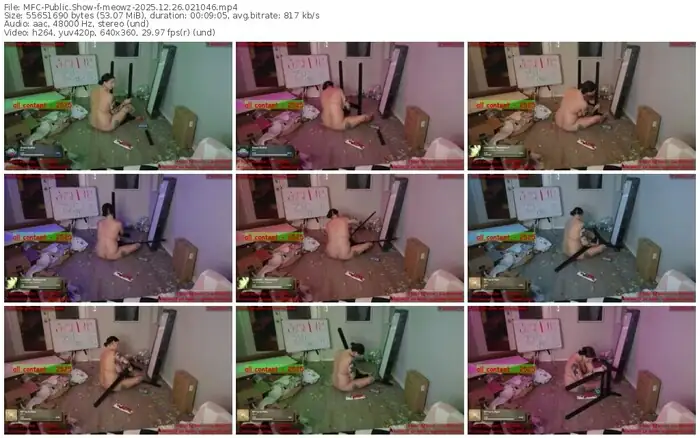 2025/12/26/mfc-meowz-02-10-46