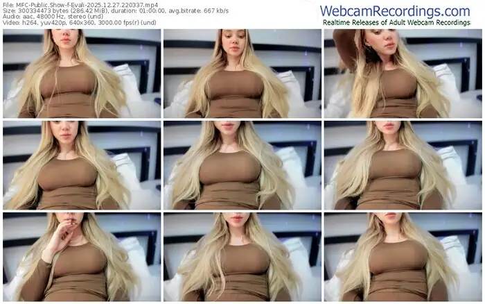 2025/12/27/mfc-evali-22-03-37