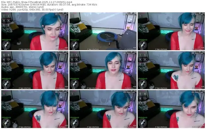 2025/12/27/mfc-pixiebrat-09-56-51