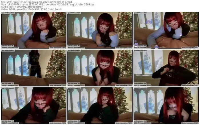 2025/12/27/mfc-meowgical-06-17-11