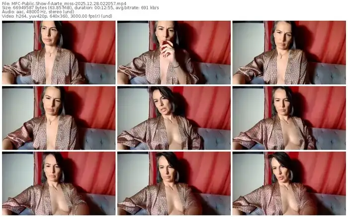 2025/12/28/mfc-aarte_miss-02-20-57