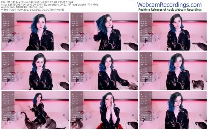 2025/12/28/mfc-alicentity-23-06-17