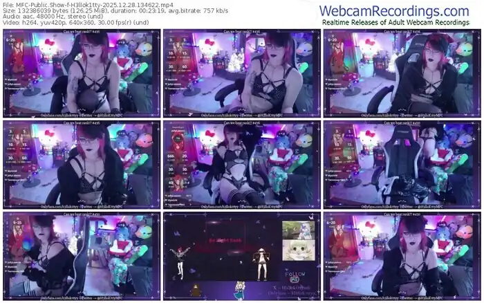 2025/12/28/mfc-h3llok1tty-13-46-22