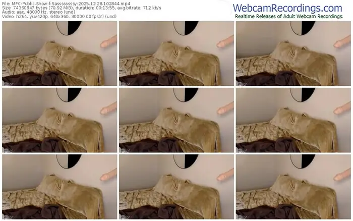 2025/12/28/mfc-sassssssssy-10-28-44