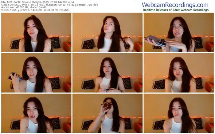 2025/12/28/mfc-shalyka-14-48-03