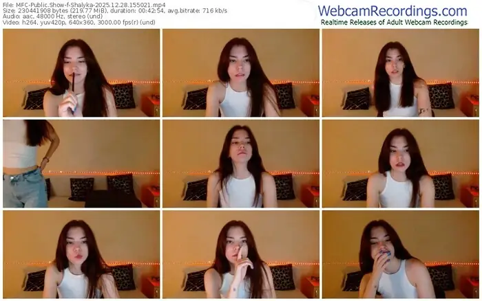 2025/12/28/mfc-shalyka-15-50-21