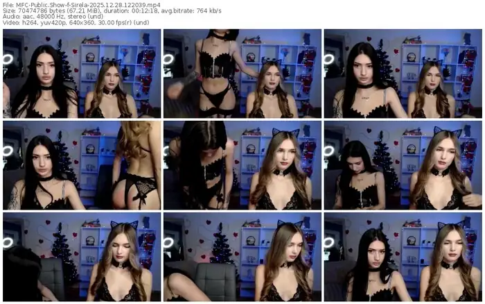 2025/12/28/mfc-sirela-12-20-39