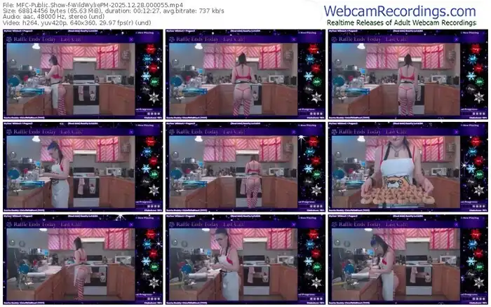 2025/12/28/mfc-wildwyliepm-00-00-55