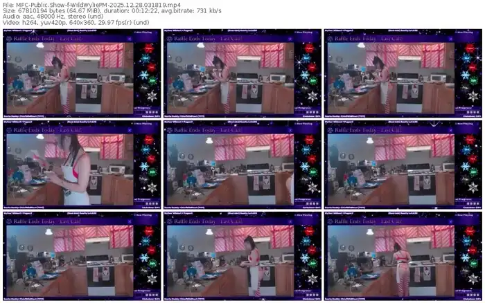 2025/12/28/mfc-wildwyliepm-03-18-19