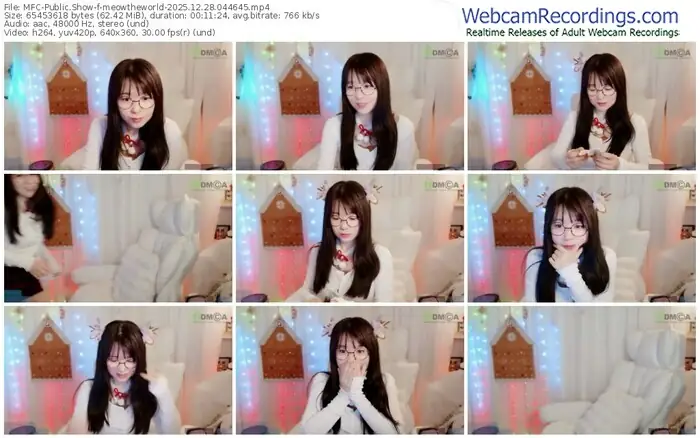 2025/12/28/mfc-meowtheworld-04-46-45