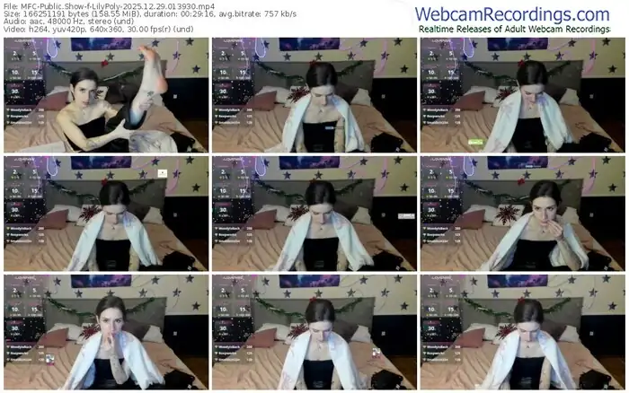 2025/12/29/mfc-lilypoly-01-39-30