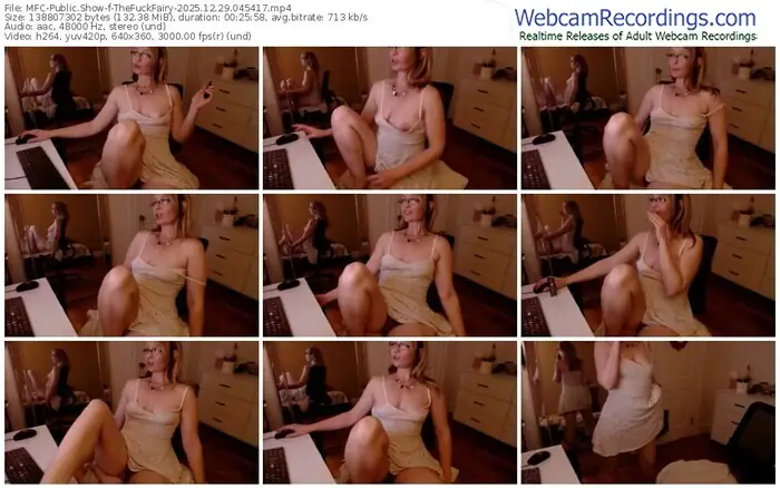 2025/12/29/mfc-thefuckfairy-04-54-17