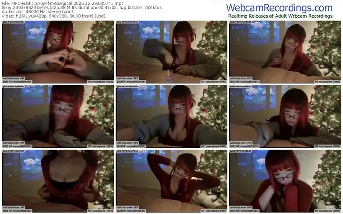 2025/12/29/mfc-meowgical-03-57-41