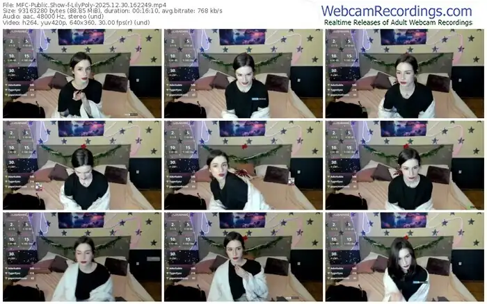 2025/12/30/mfc-lilypoly-16-22-49