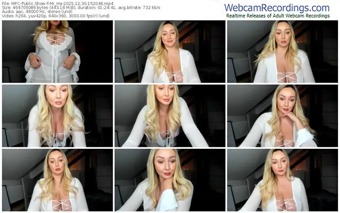 2025/12/30/mfc-mi_ha-15-20-48