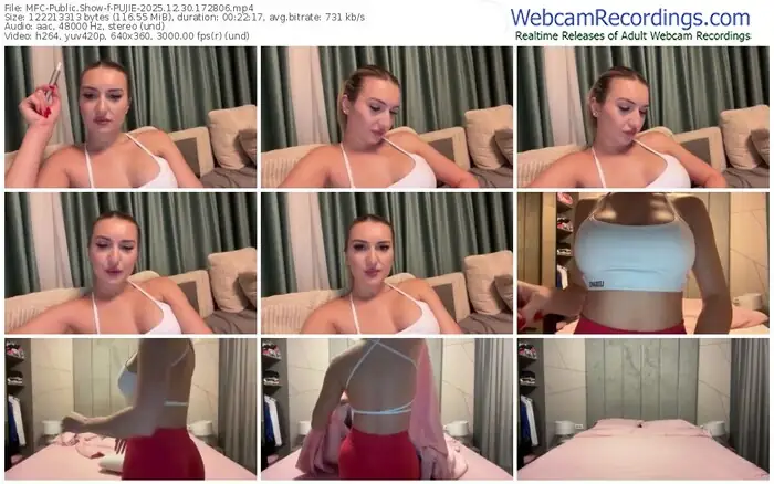 2025/12/30/mfc-pujie-17-28-06