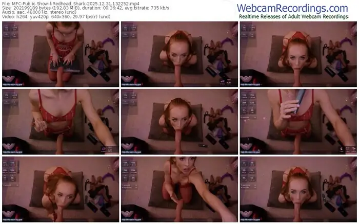 2025/12/31/mfc-redhead_shark-13-22-52