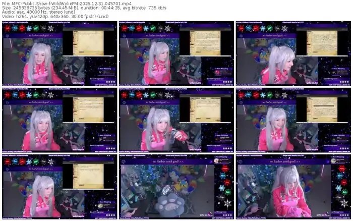 2025/12/31/mfc-wildwyliepm-04-57-01