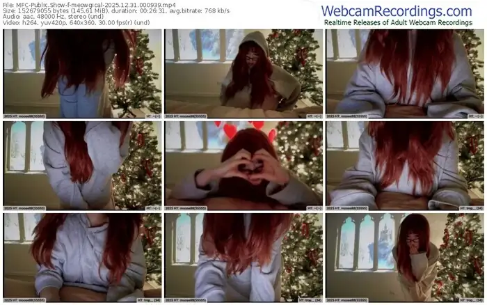 2025/12/31/mfc-meowgical-00-09-39