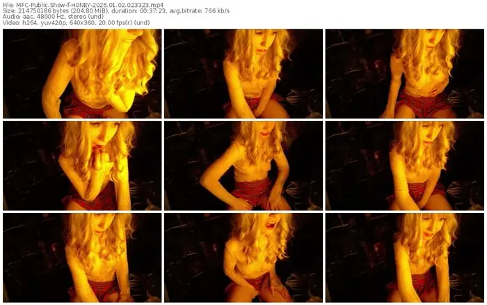 2026/01/02/mfc-h0ney-02-33-23