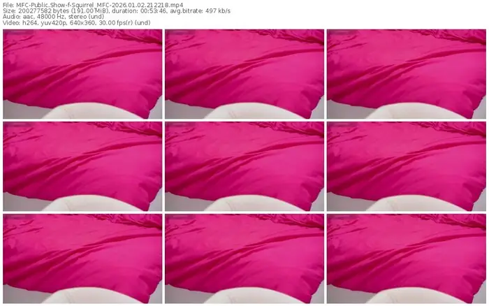 2026/01/02/mfc-squirrel_mfc-21-22-18