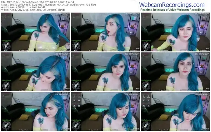 2026/01/03/mfc-pixiebrat-07-09-11