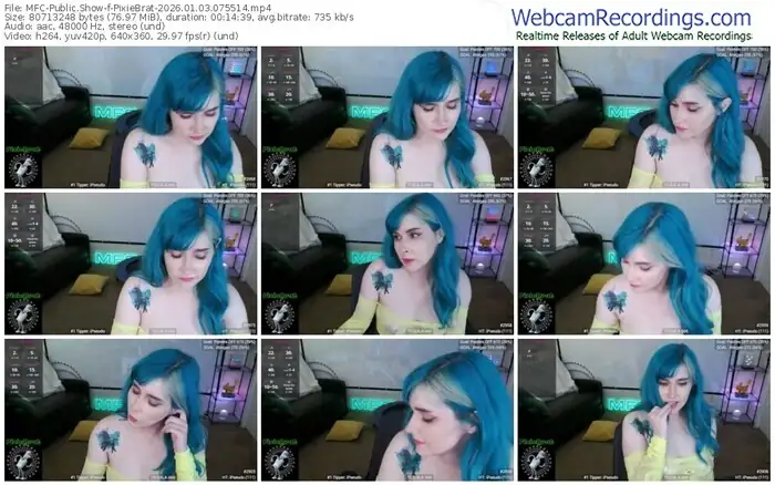 2026/01/03/mfc-pixiebrat-07-55-14