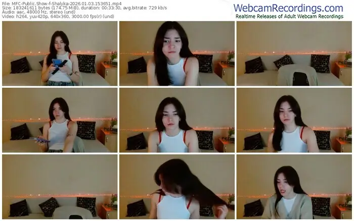 2026/01/03/mfc-shalyka-15-36-51