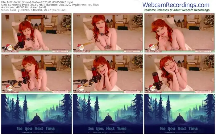 2026/01/03/mfc-ziafox-05-30-45